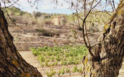 Finca rústica en venda en Caseres