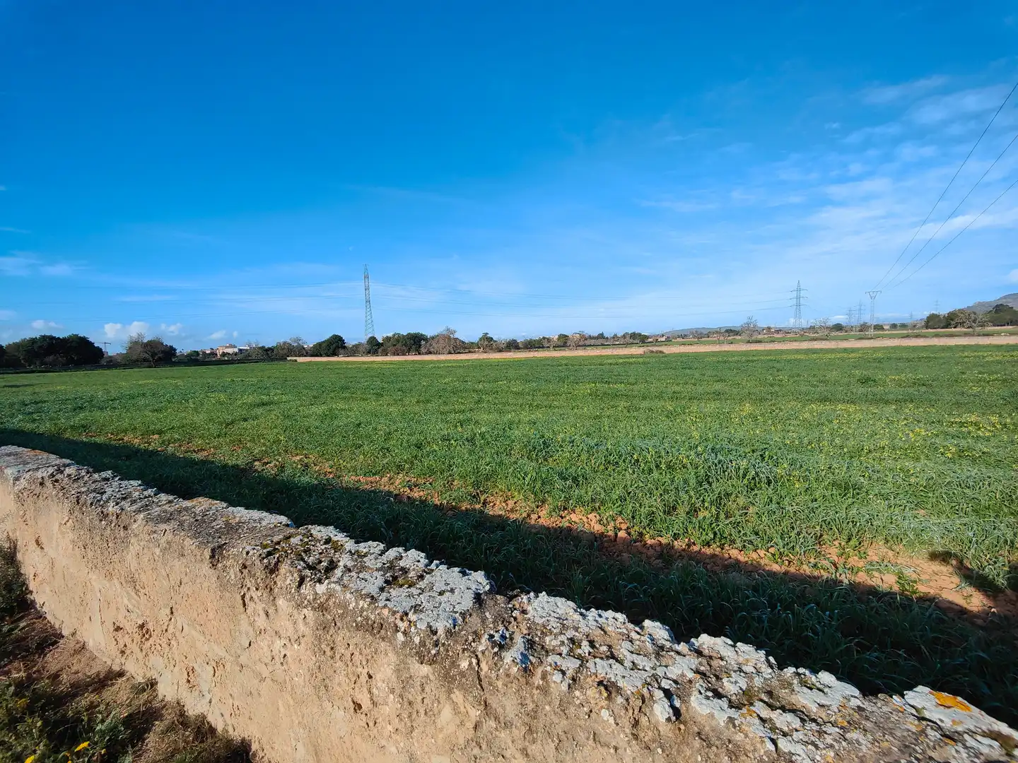 Terreno en venta en Llucmajor