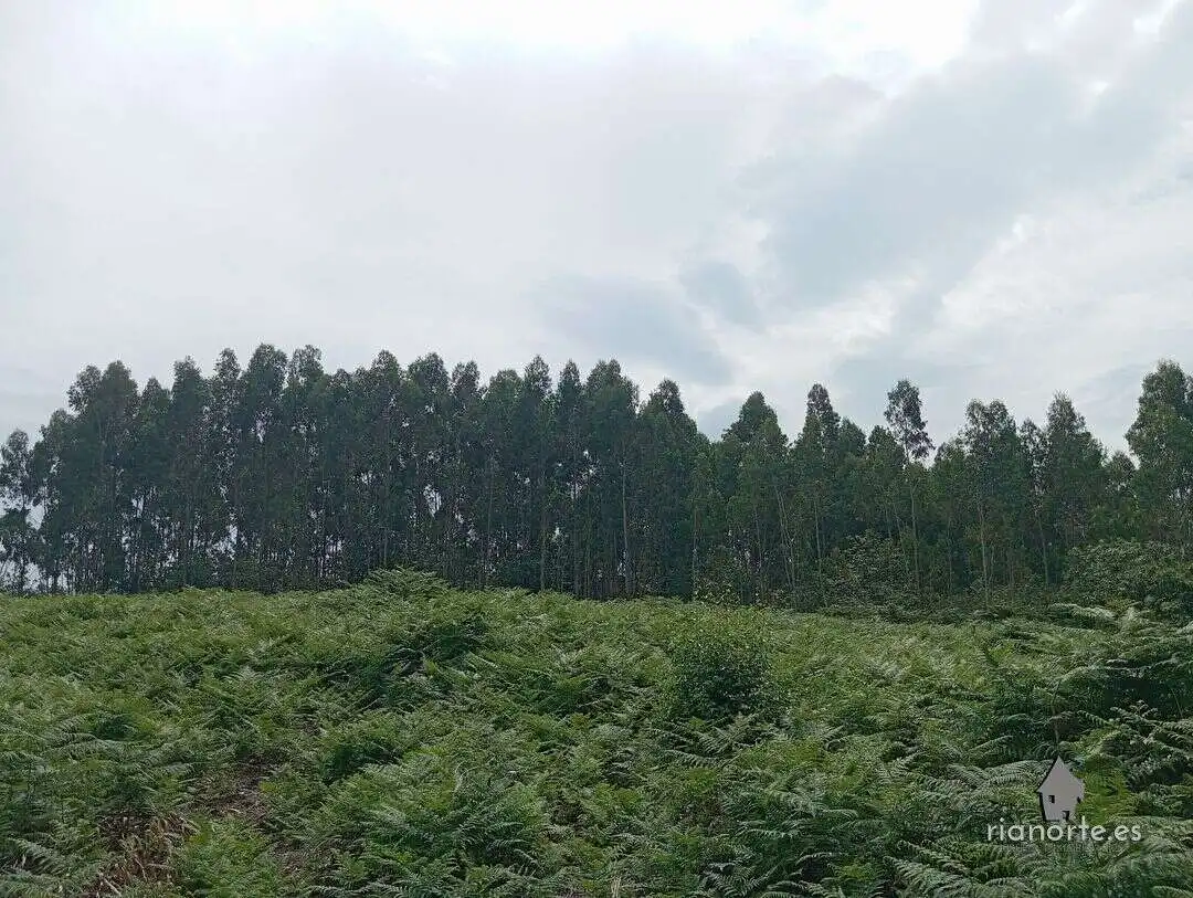 Terreno en venta en Castrillón