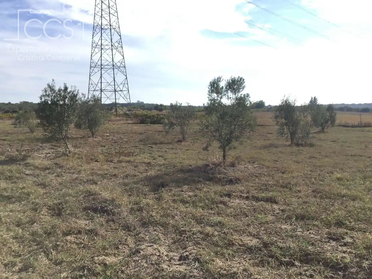 Country house for sale in Almonte ciudad, imagen 13