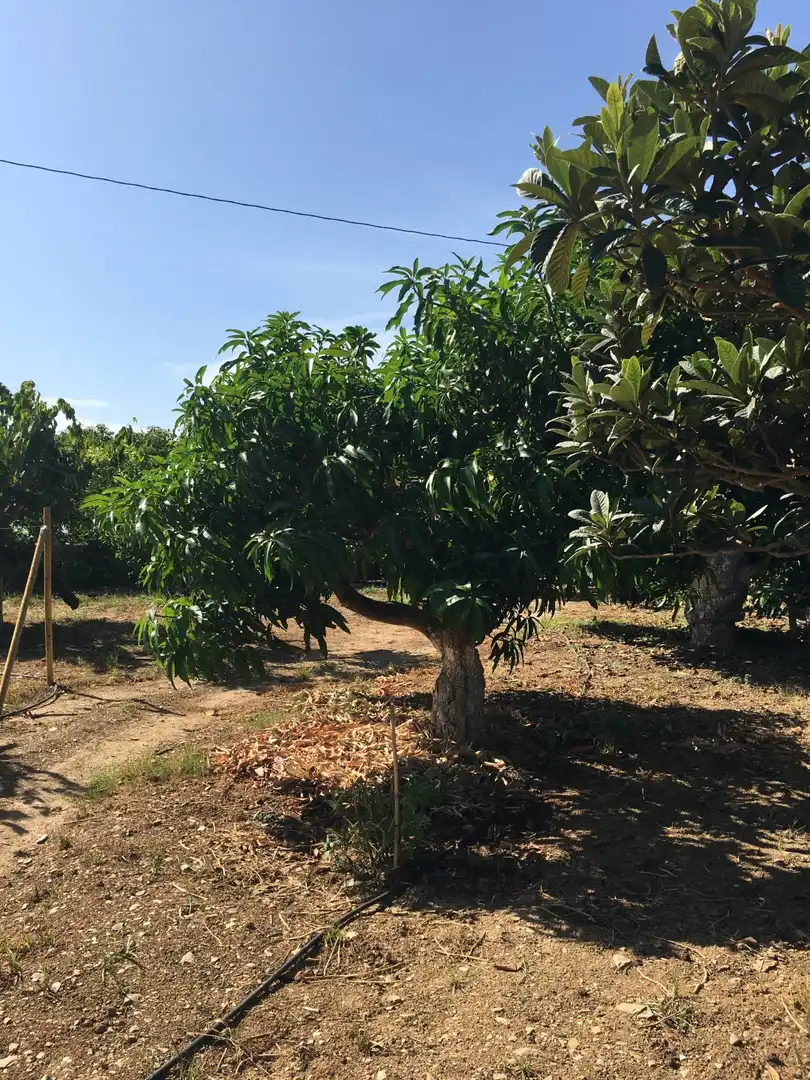 Casa rústica en venda a Monte los Almendros - El Pargo - Costa Aguilera, imagen 45