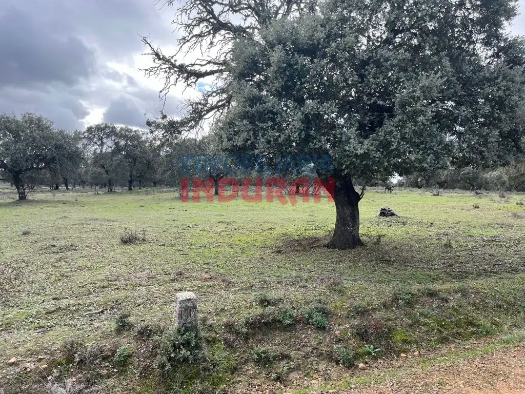 Finca rústica en venta en Calle Corchito, Majadas
