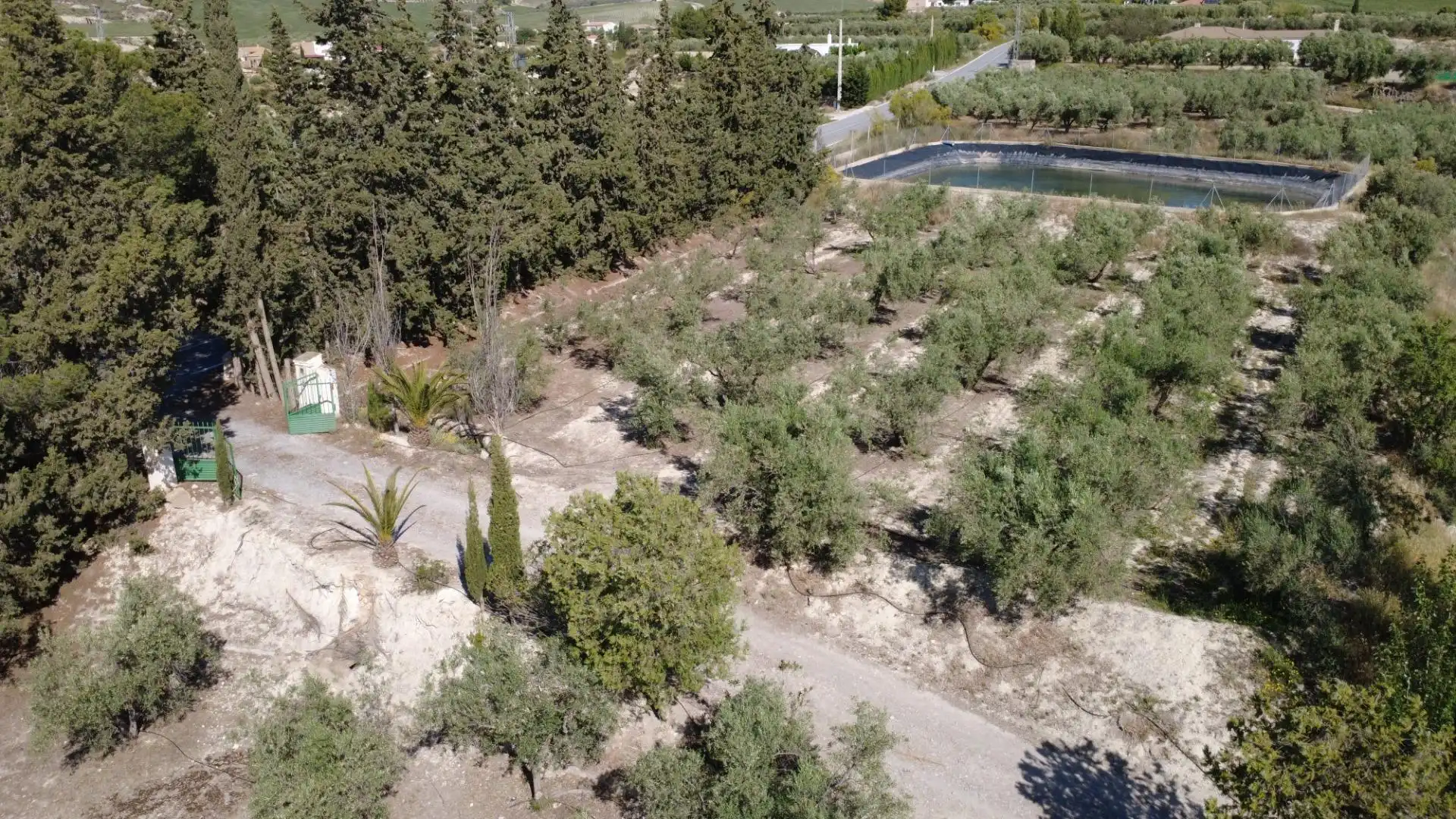 Terreno en venta en Tíjola