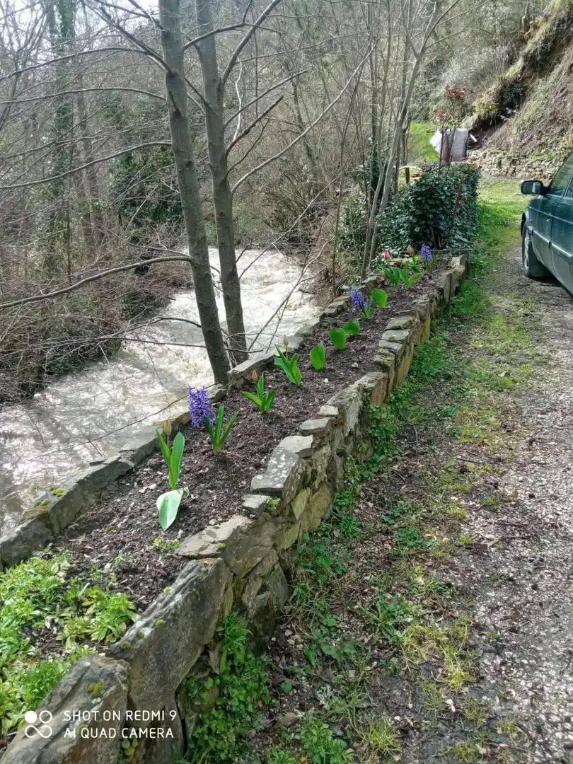 Jardí de Casa o xalet en venda en Pesaguero amb Calefacció, Terrassa i Moblat