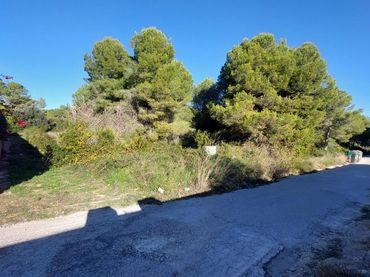 Terrain résidentiel à vendre à Mas Borràs - Coto del Rey