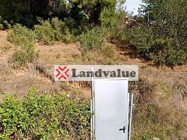 Terreni e lotti in vendita a . Tibidabo 25