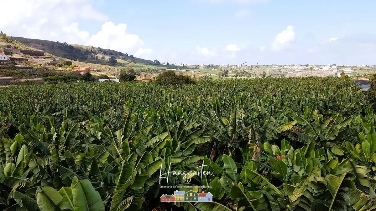 Terrain rustique à vendre à GC-330, imagen 5