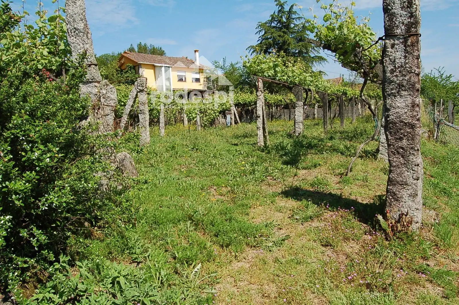 Terrenys i solars en venda a Ponteareas, imagen 4