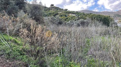 Photo 5 of Residential for sale in Centro, Málaga