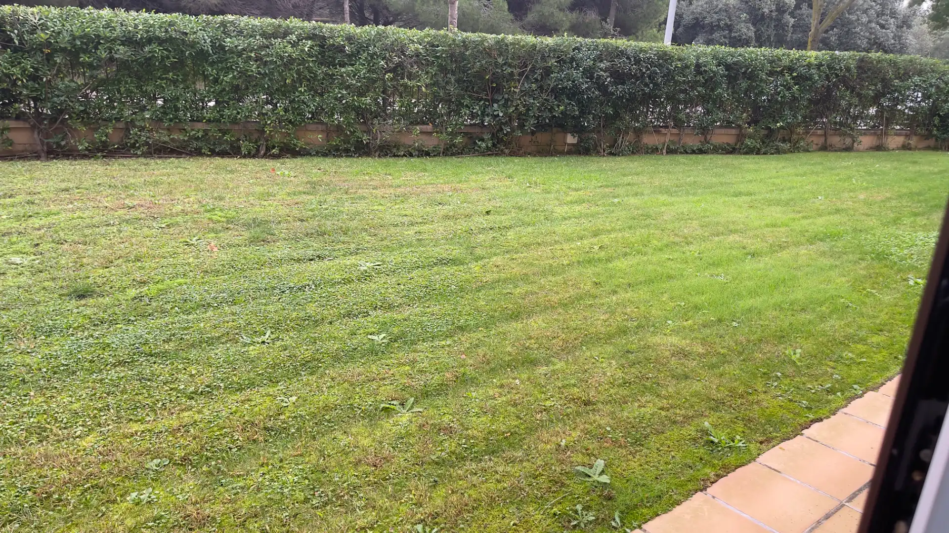 Baixos amb piscina de lloguer a Carrer Rec del Molí, imagen 6