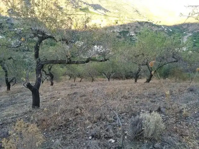 Casa rústica en venda a Benamargosa, imagen 9