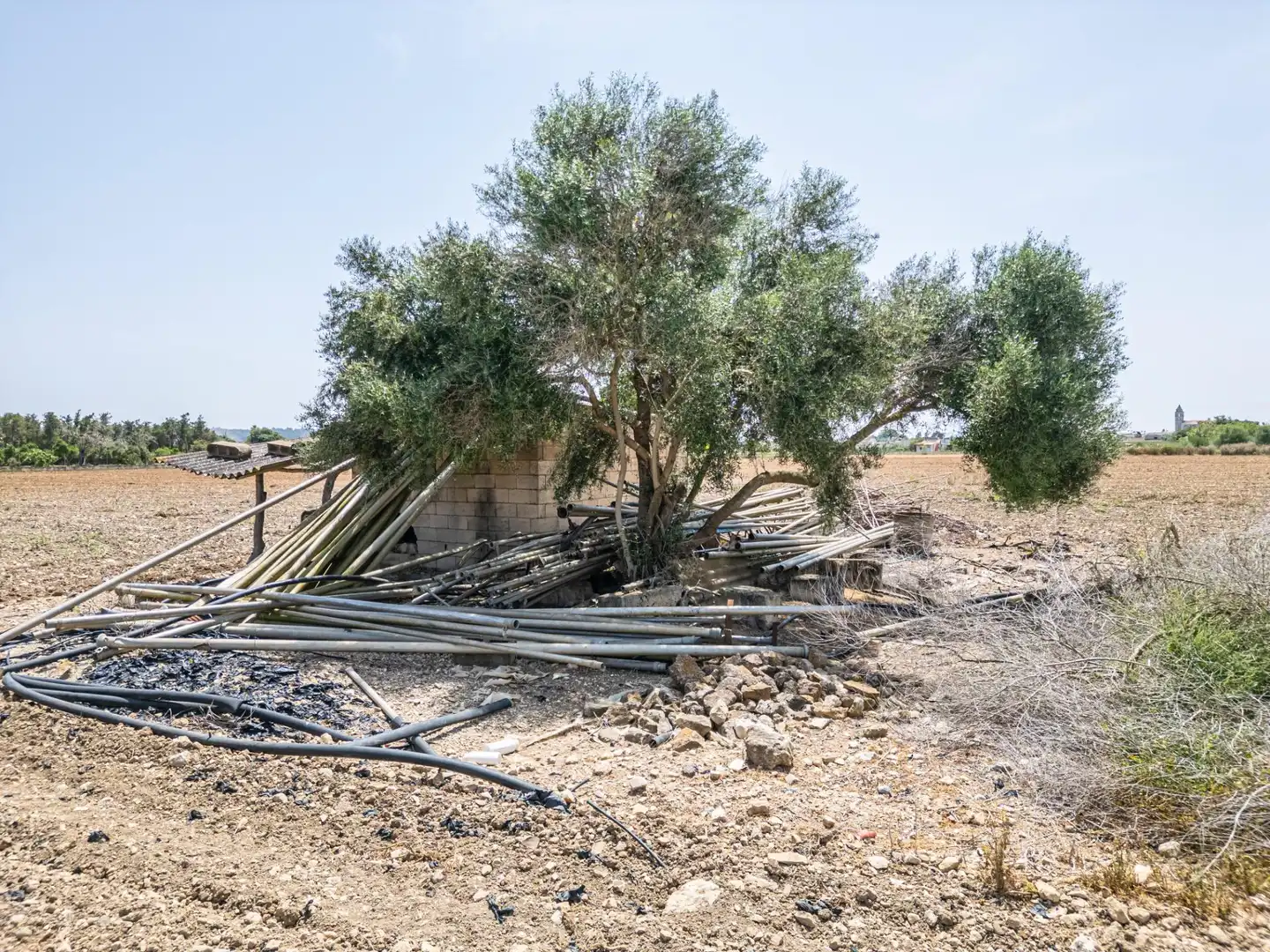 Rustikales Grundstück zum Verkauf in Petra, imagen 27