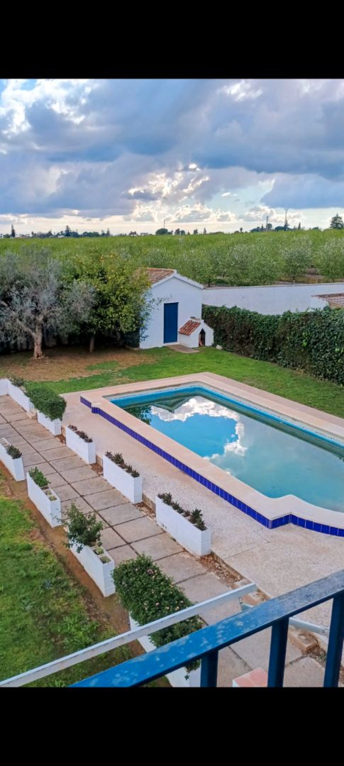 Swimming pool of Flat to rent in Espartinas  with Private garden, Terrace and Swimming Pool