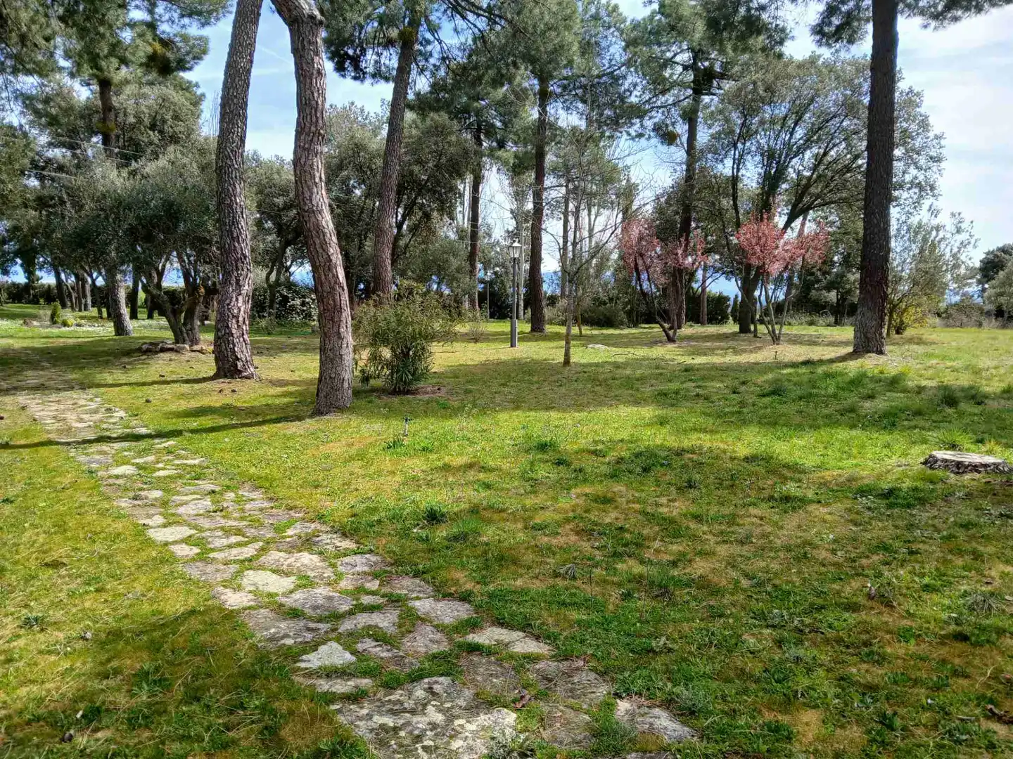 Xalet amb jardí en venda a Lastras del Pozo, imagen 4