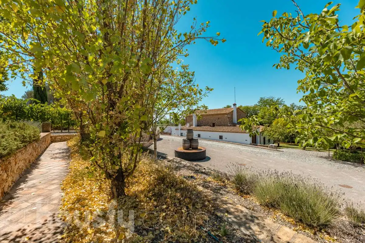 Vista exterior de Casa o chalet en venta en Castellví de la Marca con Jardín privado, Terraza y Trastero