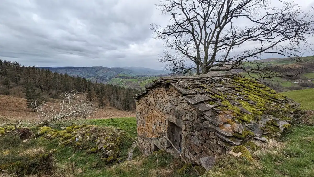 Vista exterior de Finca rústica en venta en Selaya