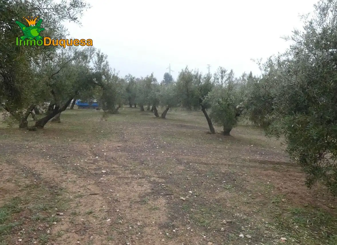 Casa rustica in vendita a Peligros, imagen 22