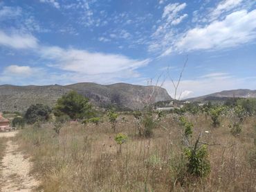 Terreny residencial en venda a Teulada
