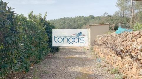 Foto 2 de Casa o chalet en venta en L'Amistat,  Valencia Capital