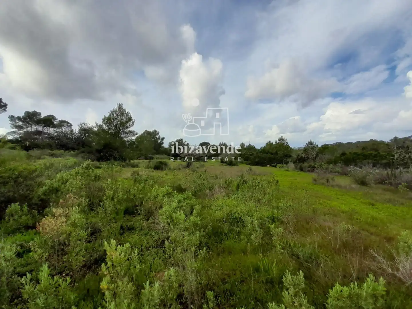 Terreny rústic en venda a de cala tarida, imagen 15