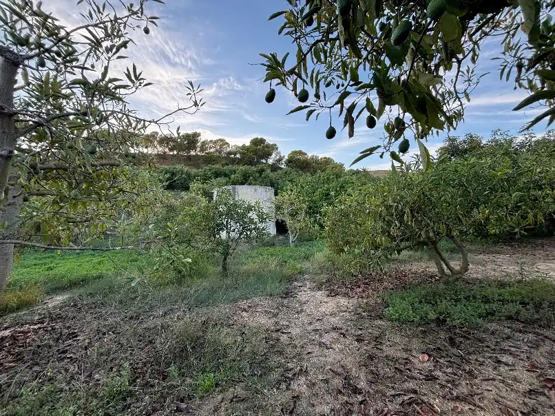 Casa rústica amb piscina en venda a Castillo Alto 65A, imagen 16