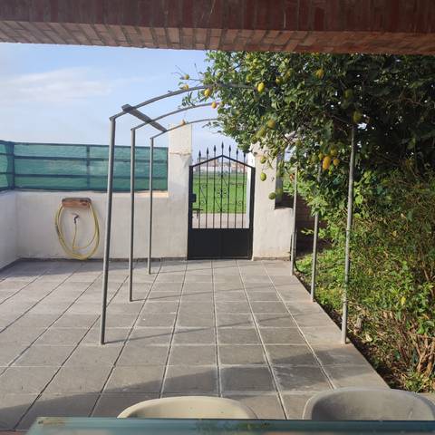 Casa-chalet en Venta en El Higuerón