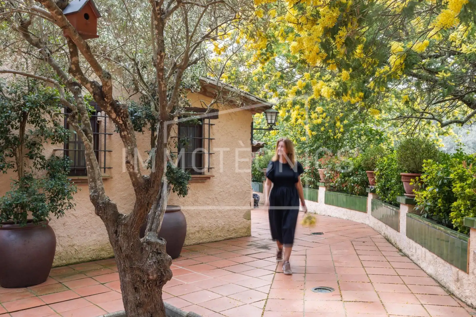 Vista exterior de Finca rústica en venda en Sant Iscle de Vallalta amb Calefacció, Jardí privat i Piscina