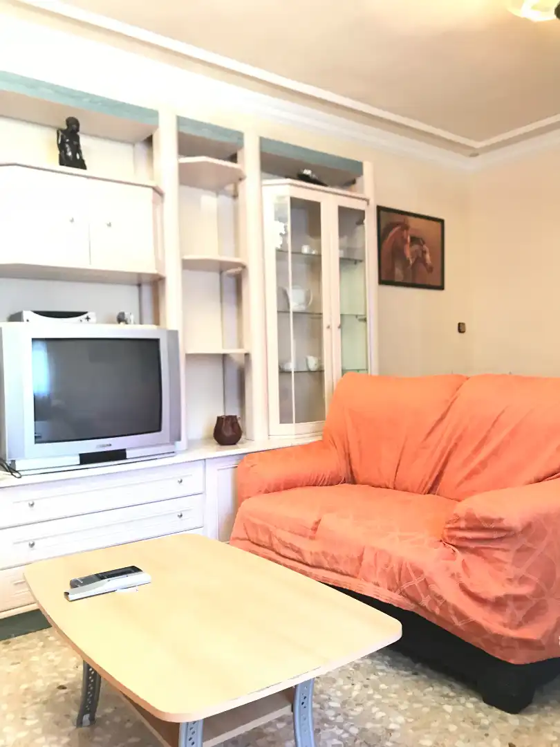 Sala d'estar de Pis de lloguer en Ciudad Real amb Moblat