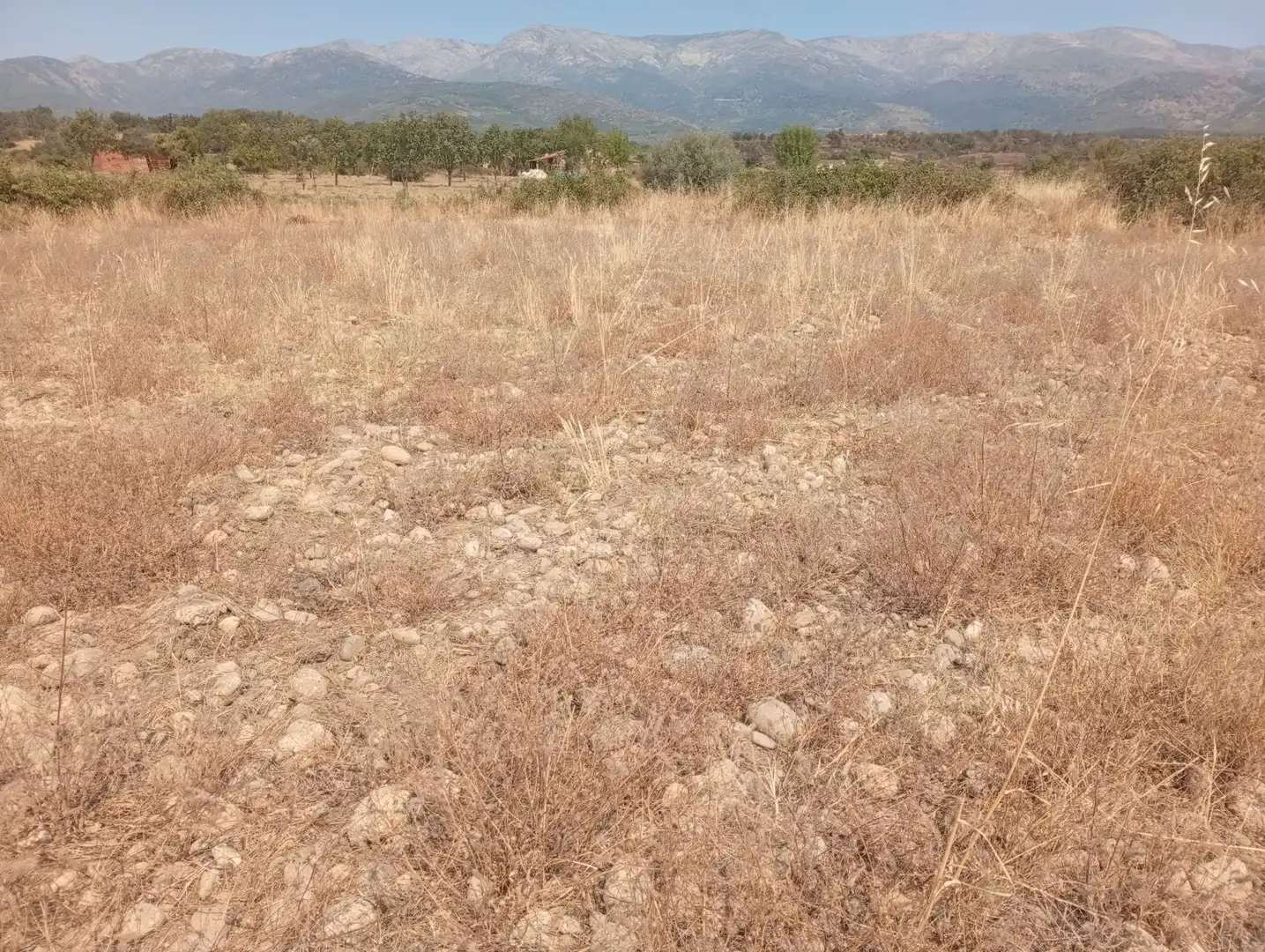 Terreni e lotti in vendita a Villanueva de la Vera, imagen 9