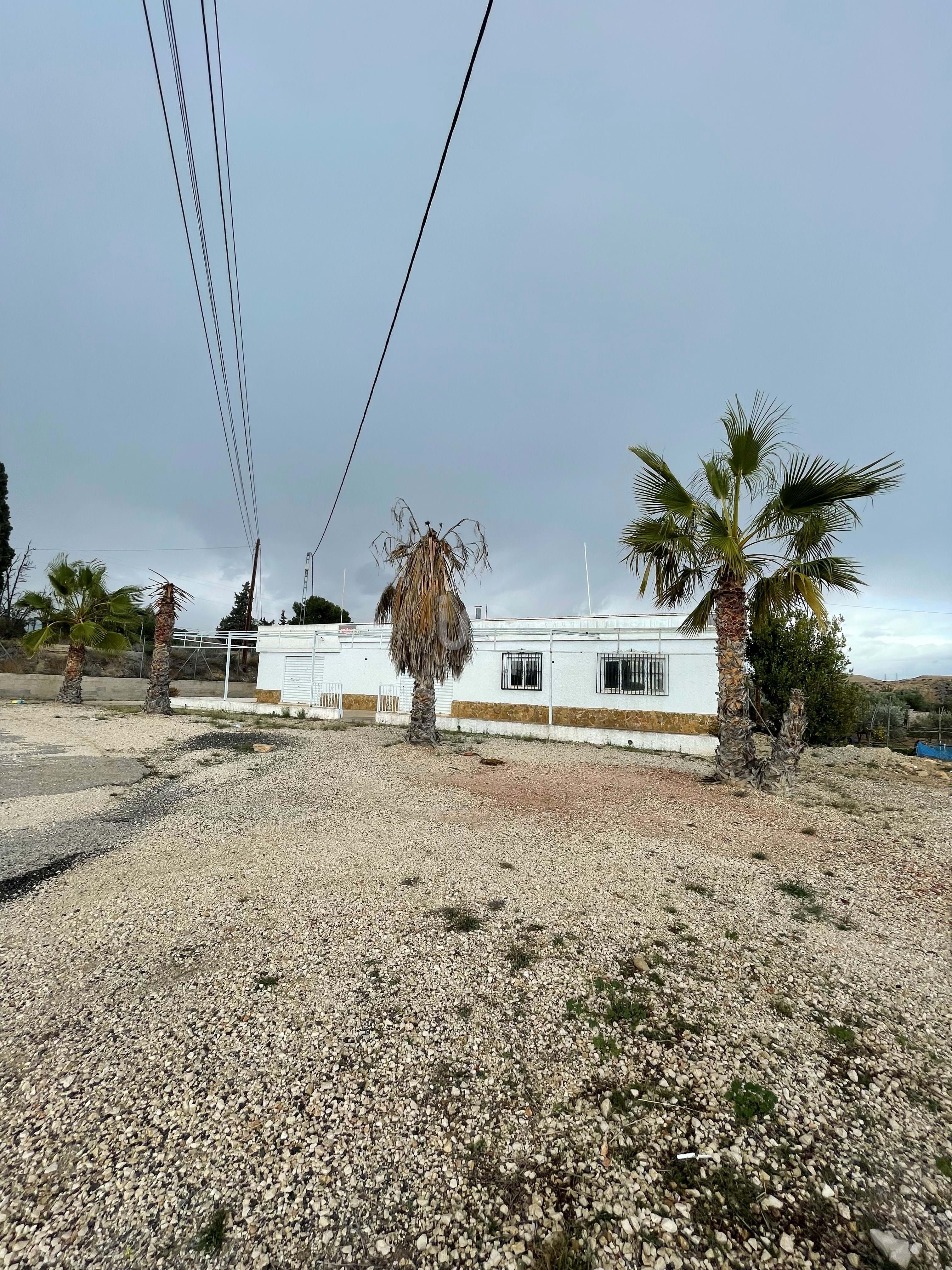 Vista exterior de Casa o chalet en venta en Elche / Elx