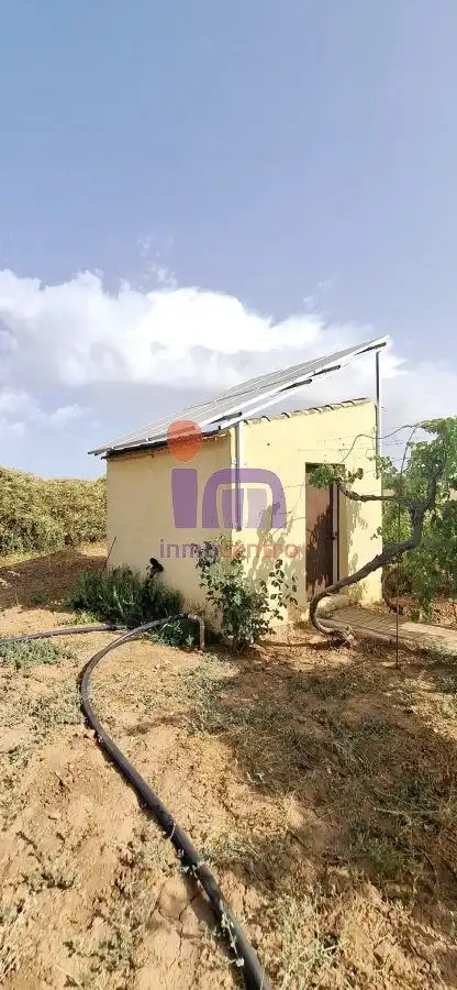 Jardí de Casa o xalet en venda en Valdepeñas amb Jardí privat i Piscina