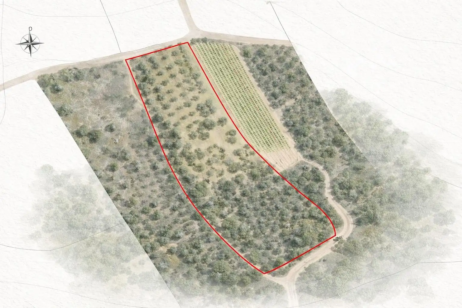 Rural land for sale in Rabós, imagen 13