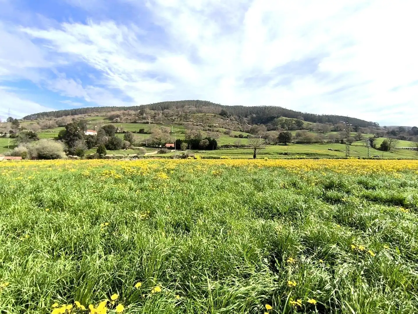 Terreny rústic en venda a Santa María de Cayón, imagen 2