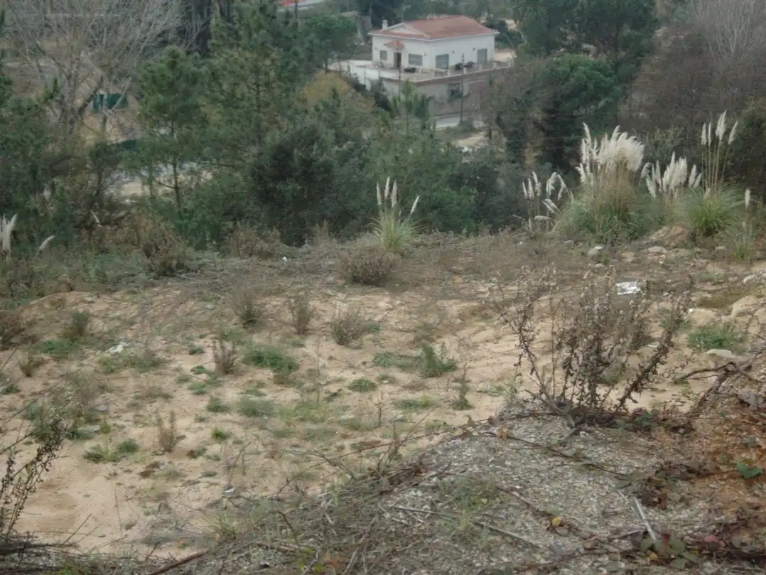 Residential land for sale in Carrer Infants 6, imagen 3