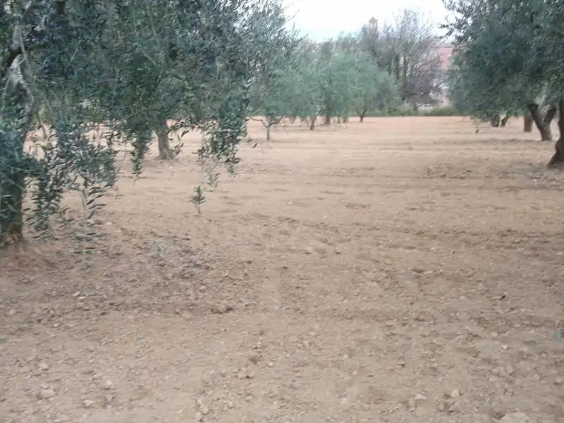 Terreno residencial en venta en Piera