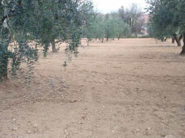 Terreno residencial en venta en Piera