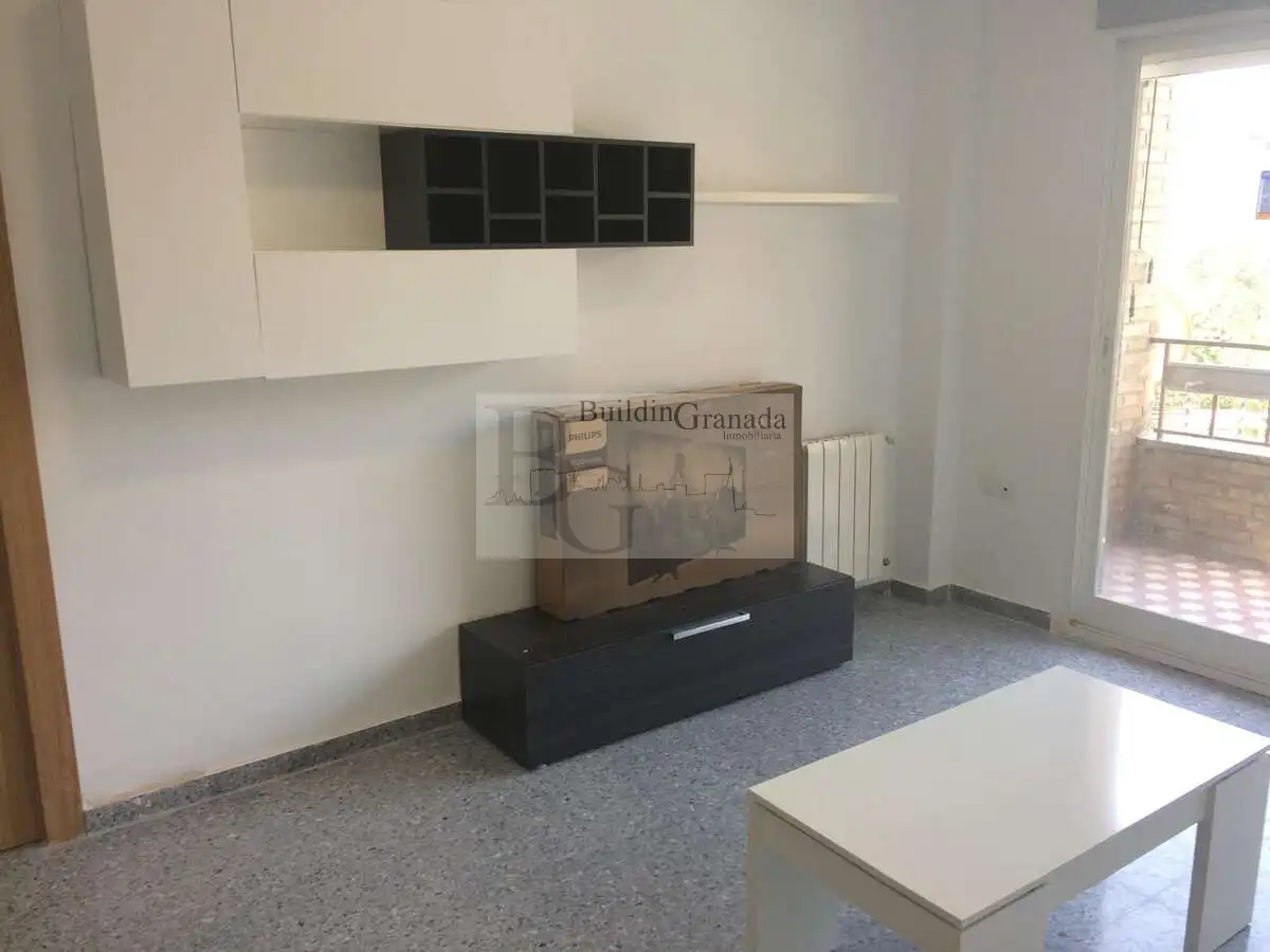 Sala d'estar de Pis de lloguer en Granada amb Balcó
