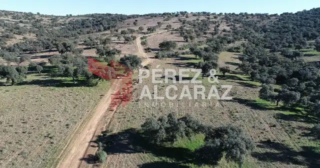 Terreny rústic en venda a Fuente Obejuna