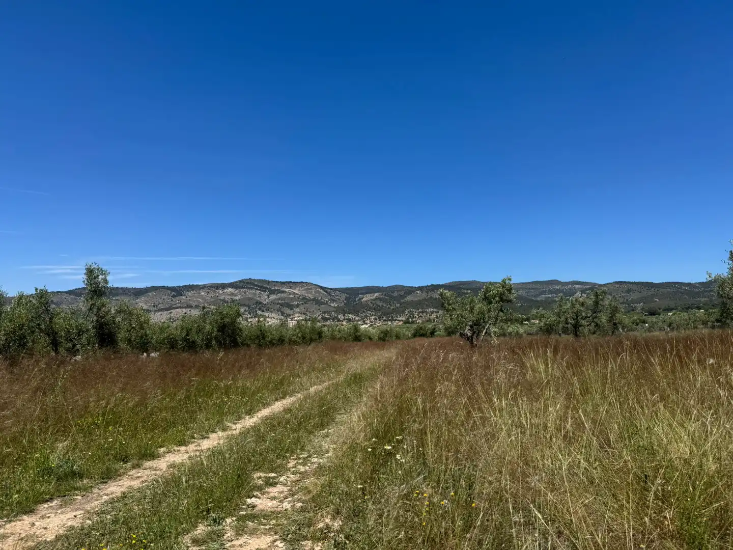 Terreny rústic en venda a Onil, imagen 4
