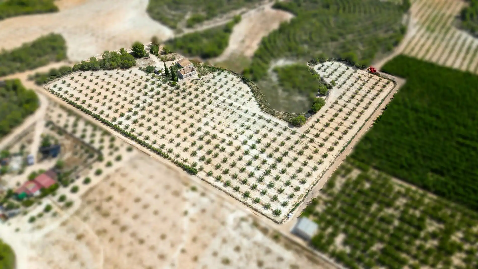 Casa o xalet en venda en Cieza