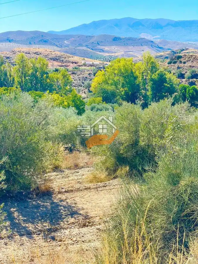 Residential land for sale in Vélez-Rubio, imagen 12