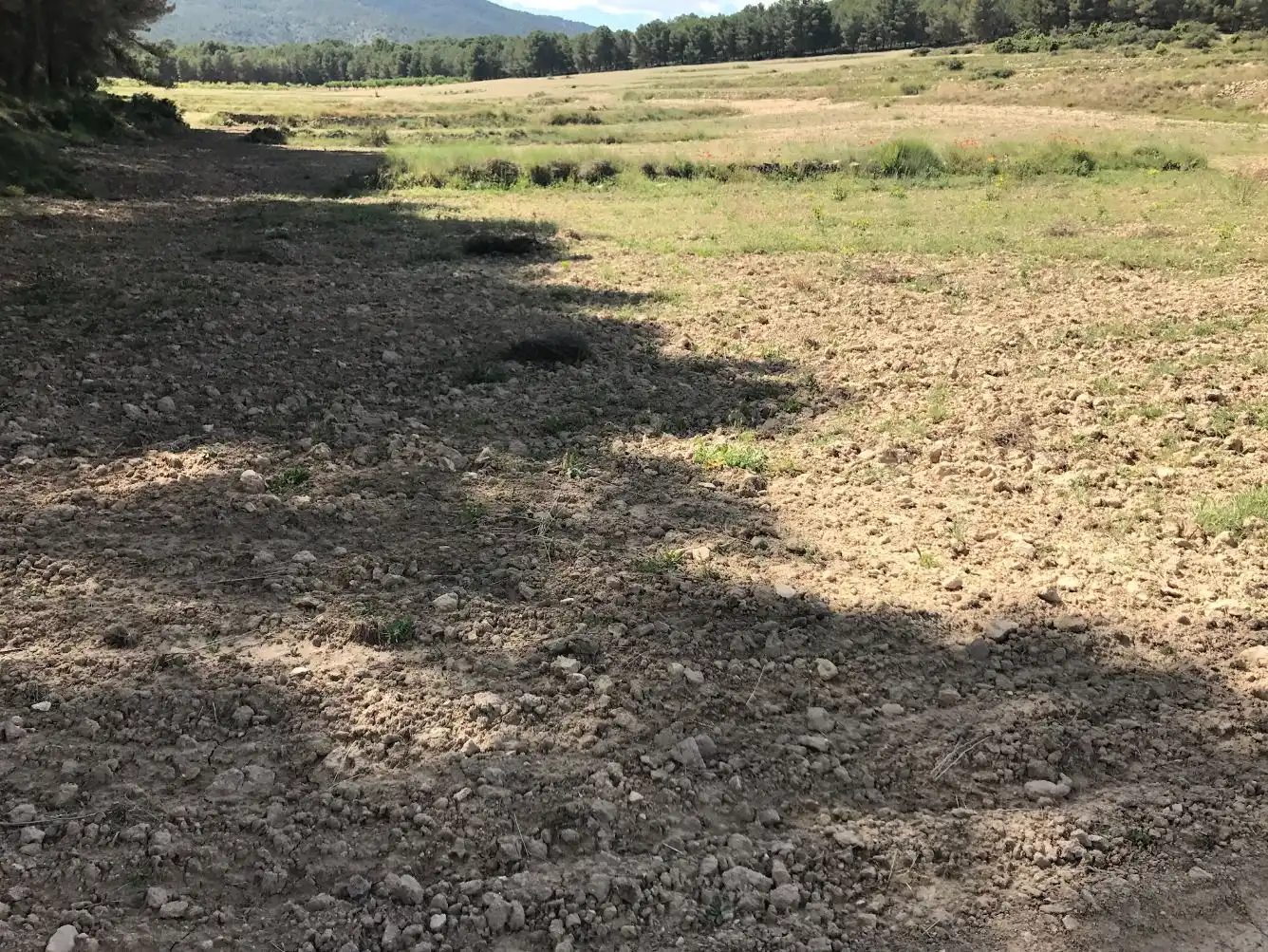 Terreny rústic en venda a Caravaca de la Cruz, imagen 15