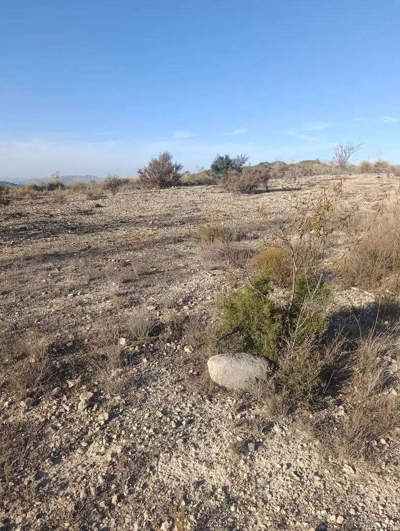 Industrial land for sale in Bullas, Murcia