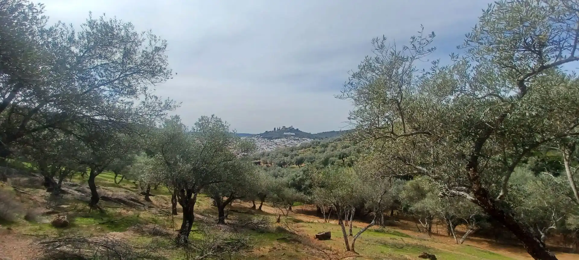 Terreni e lotti in vendita a Constantina, imagen 9