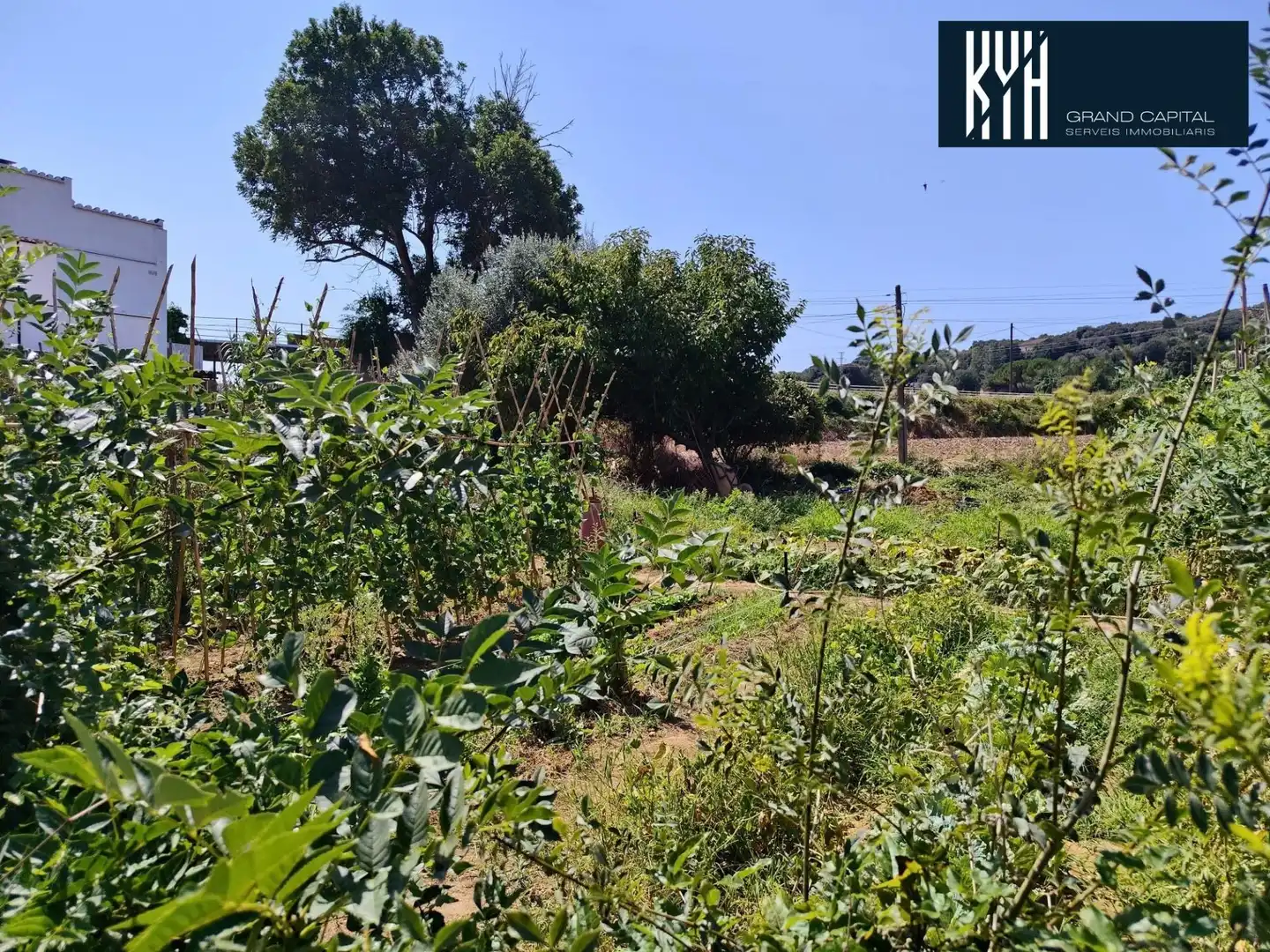 Casa con jardín en venta en Calle Miquel Marti i Pol, imagen 13