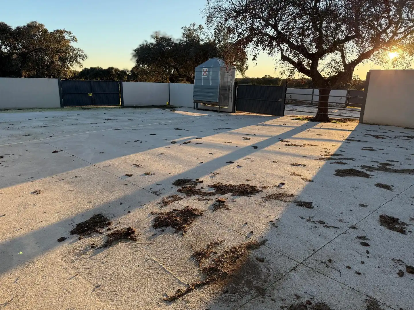 Terreni e lotti in vendita a Casco Antiguo, imagen 5