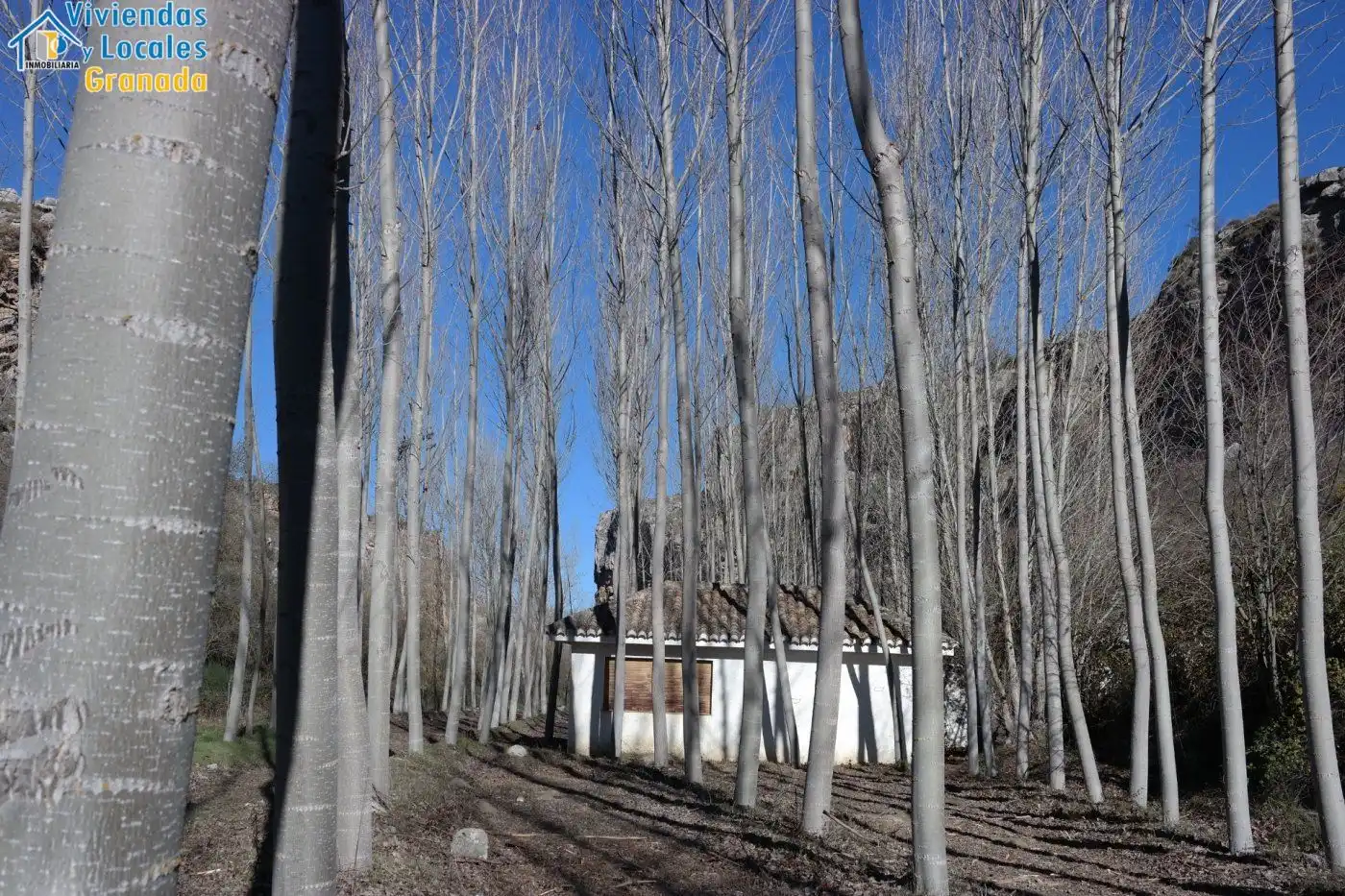 Terreni e lotti in vendita a Alhama de Granada, imagen 20