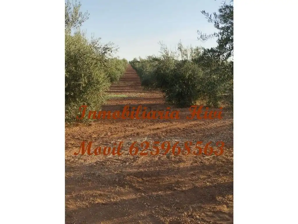 Country house zum Verkauf in Almendralejo