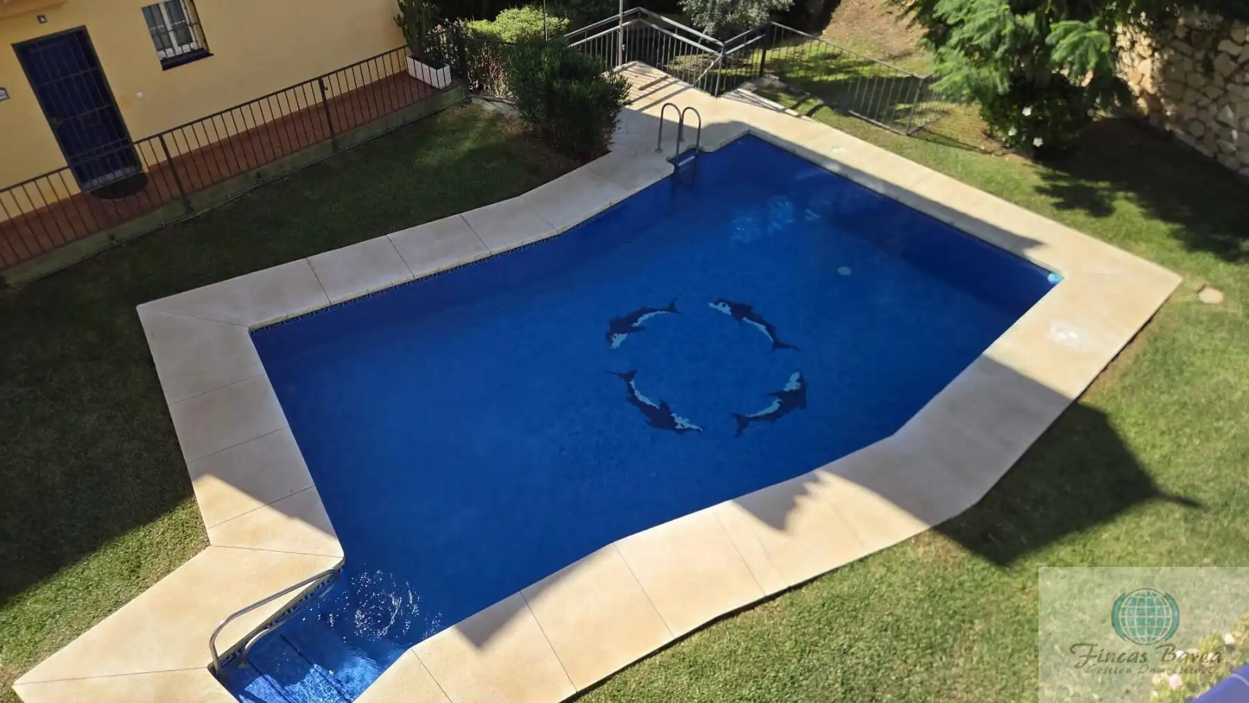 Schwimmbecken von Wohnung zur Miete in Mijas Golf