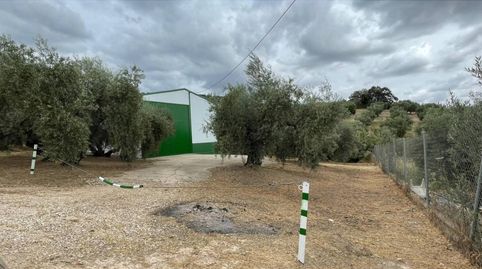 Parcela con edificación en venta en Cabra, imagen 4
